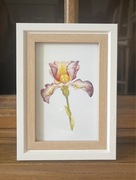 Obraz z kolorowym kwiatem