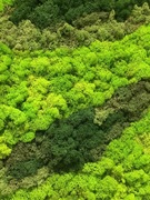 Mech Chrobotek Panel 0.25 m2