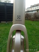 Odkurzacz pionowy Electrolux