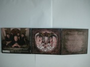 Frontside Absolutus 2006 Acid Drinkers Pantera Flap Jack Rootwater COC Korn