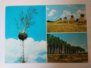 MAZOWSZE krajolik mazowiecki widoki bociany 1983 r. KAW