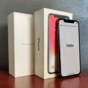 iPhone X 256GB