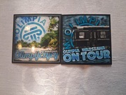 Vlepki Olimpia Warszawa / Legia Warszawa