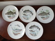 Japońska porcelana ryby talerze 5 szt 