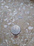 Moneta Unikatowa 1 zł z 1986 r. 