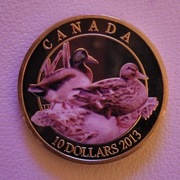 Kanada 10 dolarów, 2013 Kaczki Kanady - kaczka krzyżówka