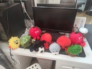 Gang Swojakow, Gang Bystrzaków, Gang Słodziaków.