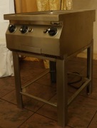 Grylownica Elektryczna (Użuwana)