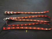 york szczeniak zestaw: obroża/smycz, czerw.-czarny