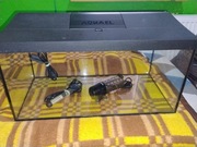 Akwarium Aquael 60 ledy 54l