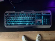 klawiatura genesis rhod 420