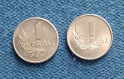 1 grosz 1949 rok ,2szt .