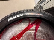 Maxxis opona Assegai 29x2.50 + 29x2.40 WT 3CG EXO+ TR