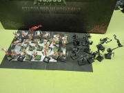 Witch Elves Dark Elf Warhammer Daughters of Khaine Sisters of Slaughter