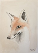 Obraz "Lis" akwarela 