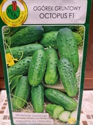 Ogórek gruntowy 'Octopus F1' nasiona