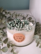 Świeca Sojowa SUKULENTY Handmade – Prezent, Dekoracja Wanilia