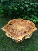 Unikatowy stolik kawowy – czeczota topoli & bursztynowa żywica 