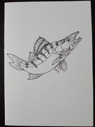 Kartka z życzeniami dla wędkarza, ryba - sandacz.