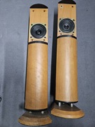 Dwie Kolumny Manta 20W