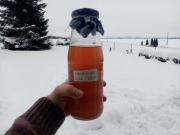 Syrop z kwiatów lipy - 680 ml