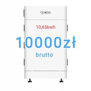 Magazyn Energii Dyness HV9637 3.55kWh + BMS Tower T10 10.66kWh