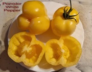 Pomidor WHITE PEPPER - 10 nasion kolekcjonerskich HIT UNIKAT jak papryka !