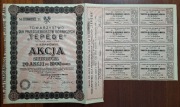 1923-1932 Kraków, Akcje Tow.Górnicze "TEPEGE" 20Akcji x 1000 Marek Polskich