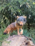 Wilk szary ręcznie filcowana figurka 