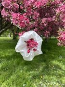 Jedwabna scrunchie mleczna biel 
