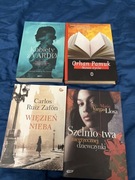 Zestaw Literatury Pięknej: Zafón, Llosa, Pamuk (Nobliści i Bestsellery)