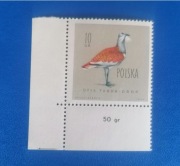 Fi 1062 ** narożnik PTAKI CHRONIONE W POLSCE 1960