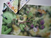 Akwarela obraz natura kwiaty motyle pejzaż