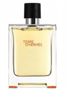 Hermes Terre d´Hermes 100ml woda toaletowa EDT eau de toilette