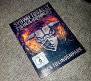 Subway To Sally | Eisheilige Nacht Back to Lindenpark | Blu-ray/DVD/2 CD