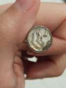 Pierśnionek z kostkami i skamieliną