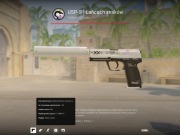 USP-S | Printstream (Minimal Wear)