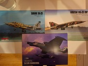 3 modele kartonowe duze angraf 