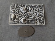 Maggotkin of Nurgle - Horticulus Slimux