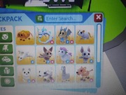 Adopt me zestaw 17 zwierzaków okazja