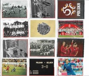 Zestaw karty biedronka - dumni z naszych .komplet 96 szt