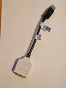 Adapter DVI - DisplayPort Amphenol Przejściówka