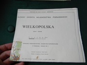 Wielkopolska Mapa 1:400 000