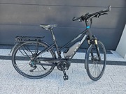 BULLS LACUBA PLUS GREEN MOVER