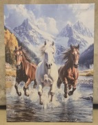 Obraz jeździecki KOŃ ARABSKI. Mustang. Prezent dla hodowcy koni.