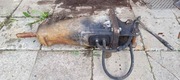 Młot wyburzeniowy cat H45Ds