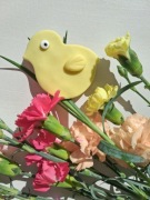 Kurczaczek - ciasteczko dla konia