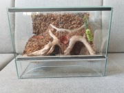 Terrarium z miejscem na rośliny