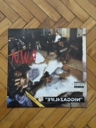 Płyta winylowa N.W.A „NIGGAZ FOR LIFE" LP