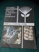 Cebula Czosnek i inne Dudek 